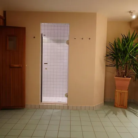 Aparthotel Iris Auffach