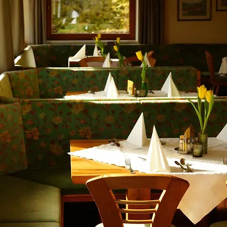 Hotel Aparthotel Iris