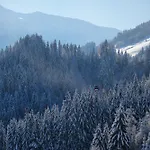 Otel Iris Auffach